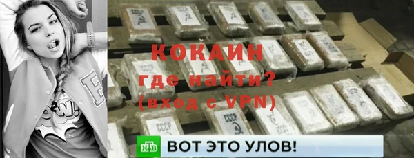 ECSTASY Майский