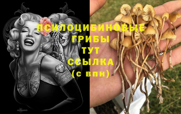 спайс Магадан