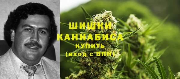 ECSTASY Майский