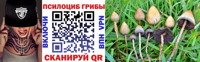 KRAKEN как зайти  Ильский  Галлюциногенные грибы Psilocybine cubensis  продажа наркотиков 